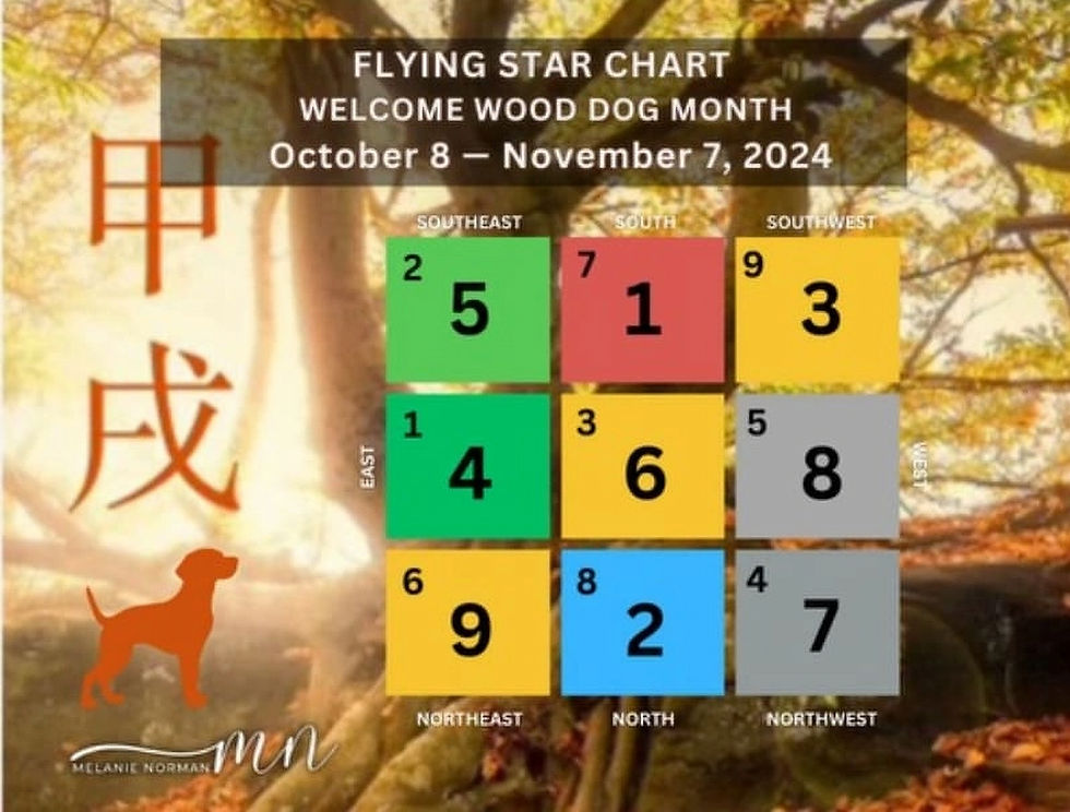 Flying Star Chart for Wood Dog Month, Oct 8 - Nov 7, 2024, on autumn background. Colored grid with numbers, red Chinese characters, orange dog.