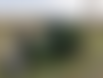 Nieuwe hulpkracht in het voedselbos