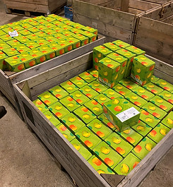 Pakken Sap