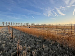 We kunnen wel wat hulp gebruiken