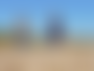 Over onze samenwerking met de Proeftuin Van Pallandtpolder