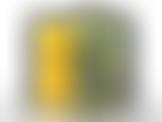 Samen maken we het verschil! 🌱