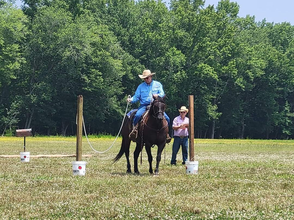 Obstacle Clinic & Intro to Cattle
