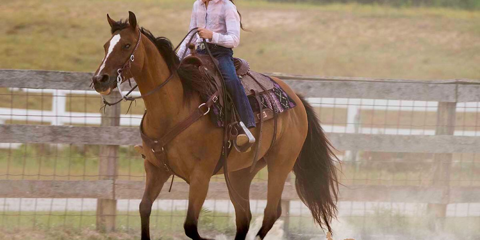 Beginner One Day Horse Camp 6/17/21