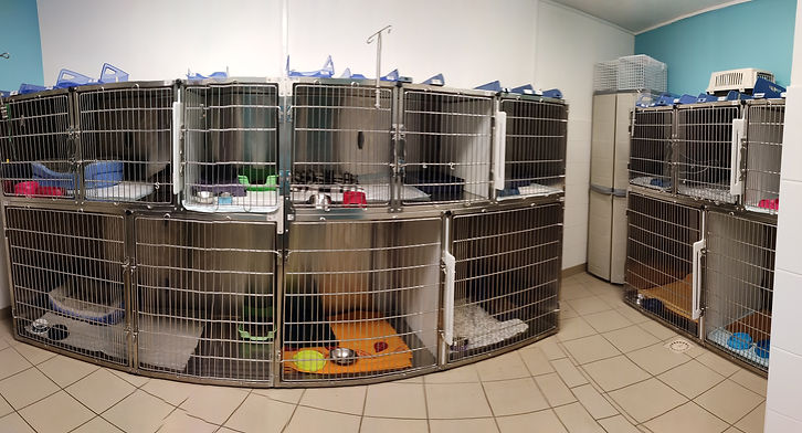 panorama chatterie.jpg