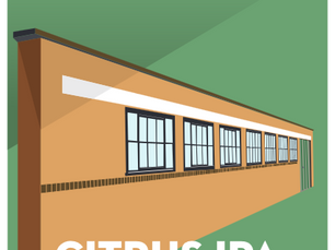 🍋🍊A zesty brew - Citrus IPA 🍋🍊