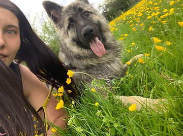 2.6 challenge 3 (Medium).jpeg