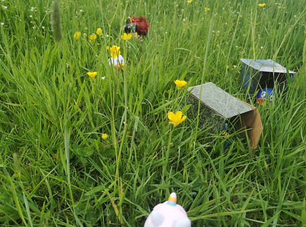 14.05.20 (Medium).jpg