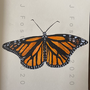 Day 25 - Monarch Butterfly (Small).png