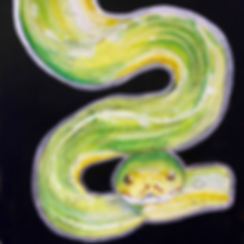 Day 10 - Green Tree Python (Medium).PNG