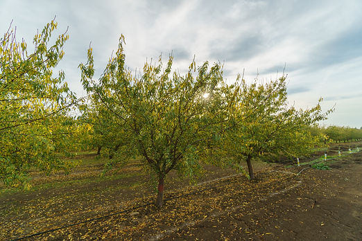 AdobeStock_192087980.jpeg