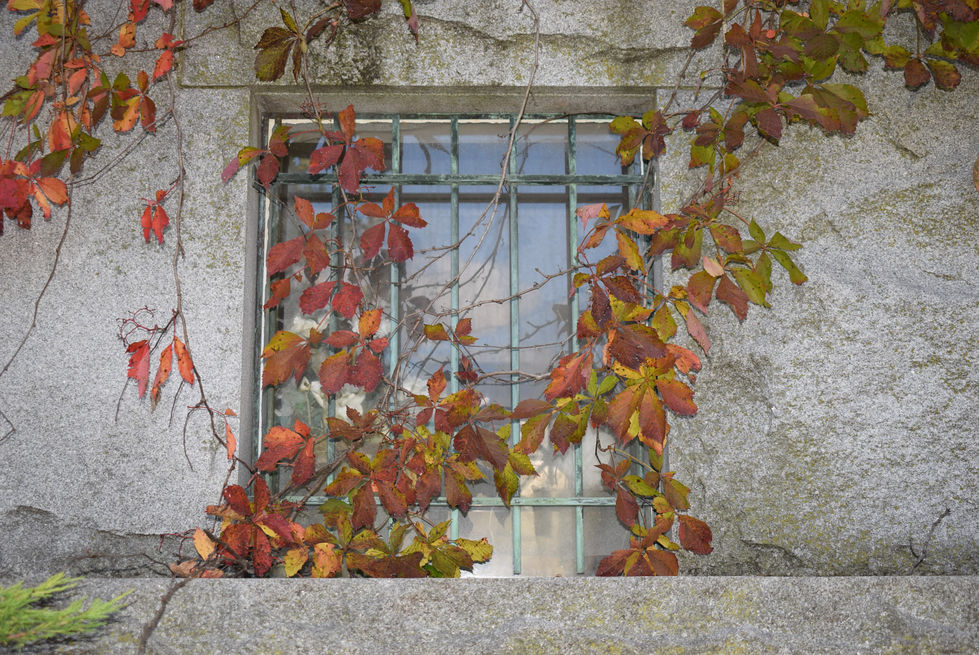 Mausoleum window