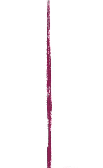 Projekt2_edited_edited_edited.png