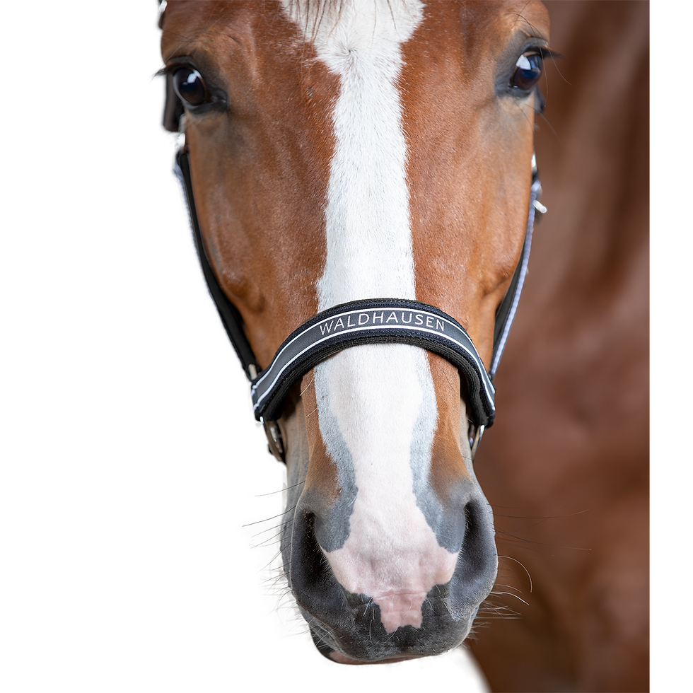 Thumbnail: Athletic Halter