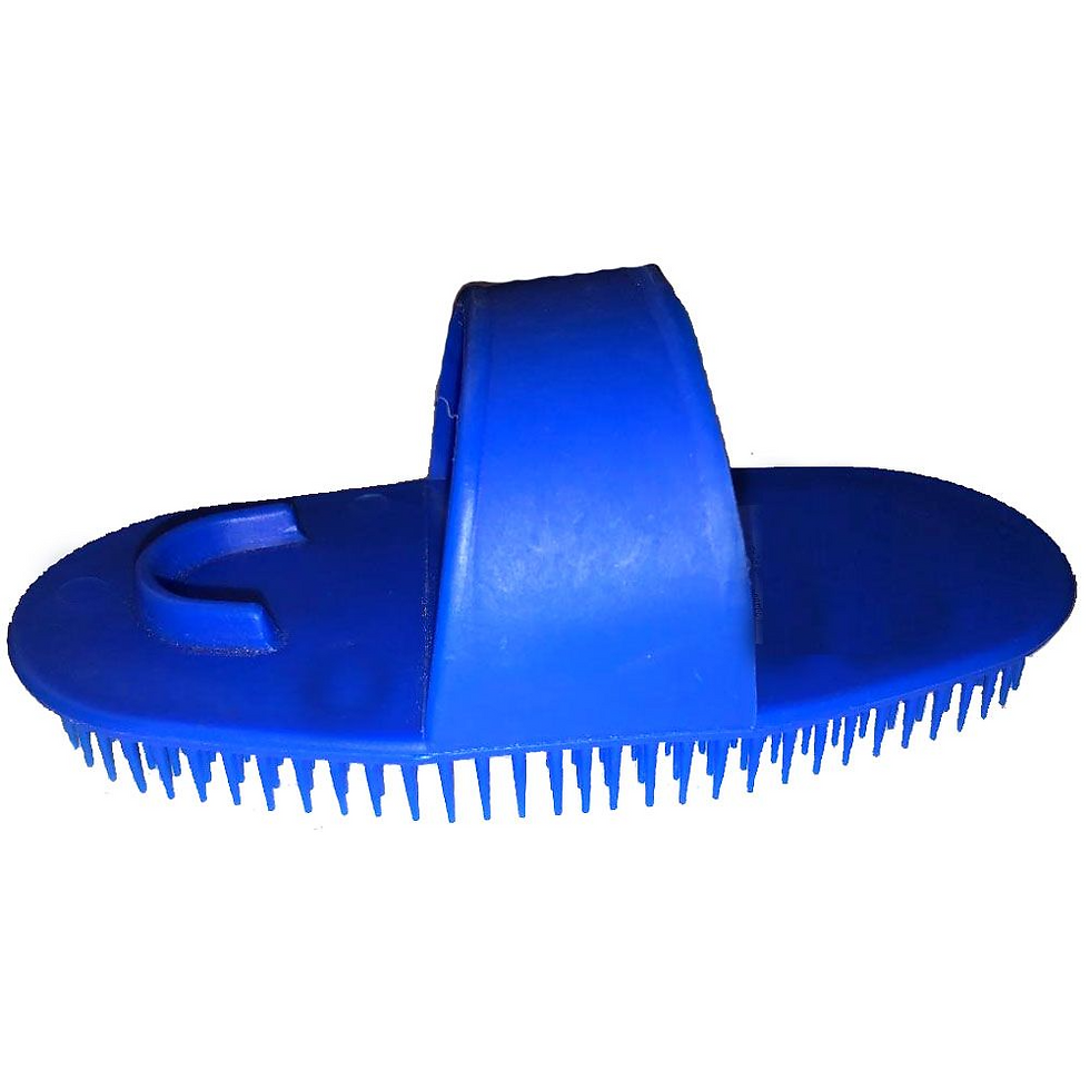 Thumbnail: Large Plastic Curry Comb