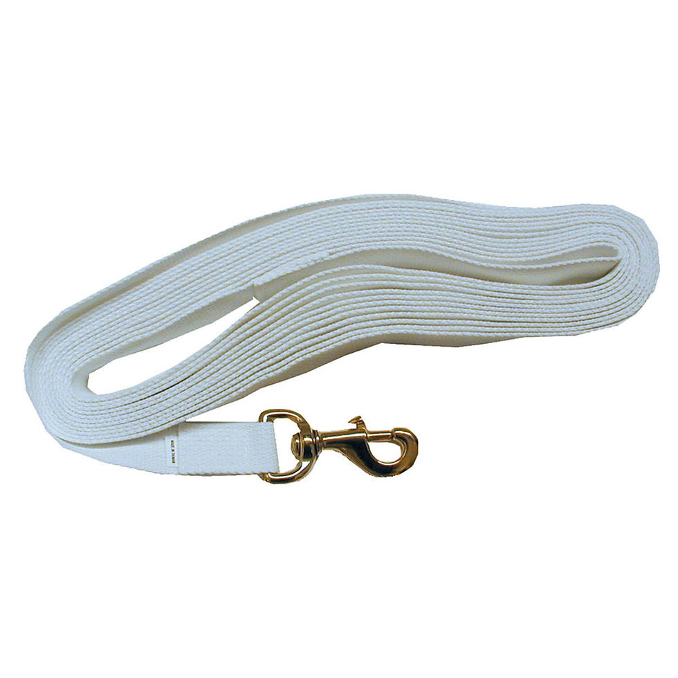 Light Weight Cotton Lunge Line