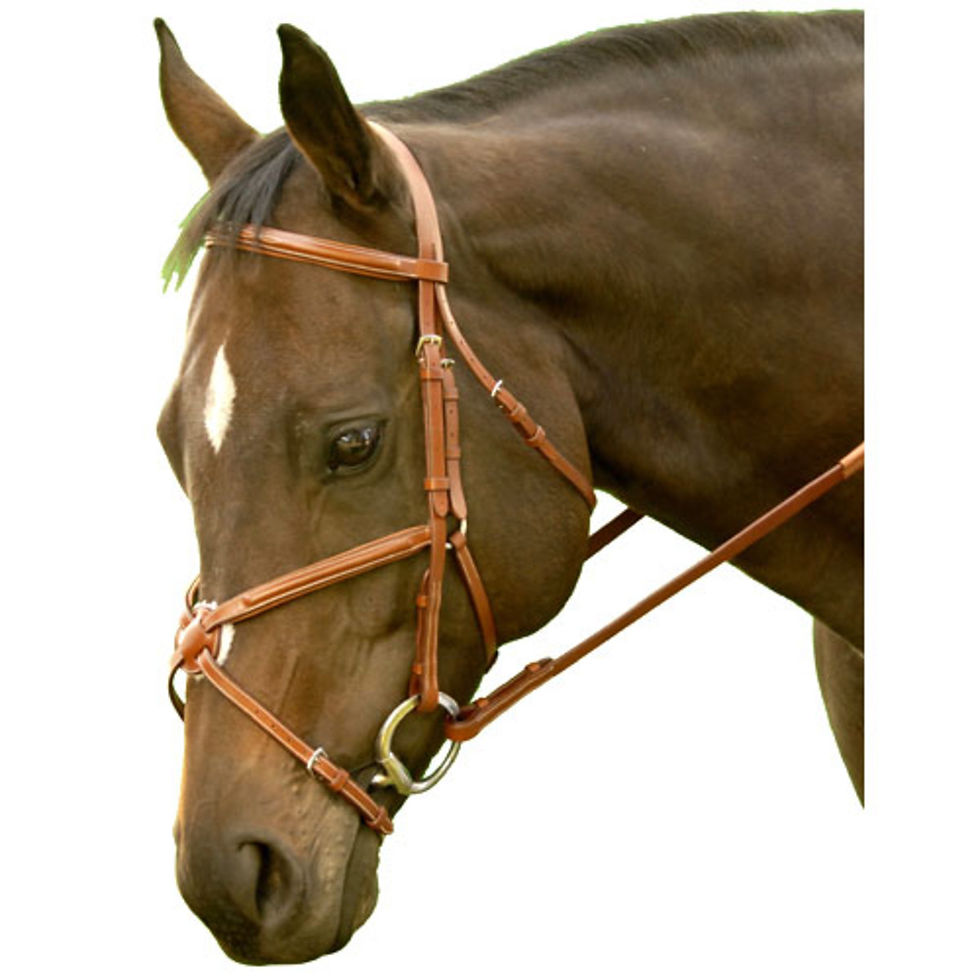 Exselle Elite Fancy Raised Jumper Bridle