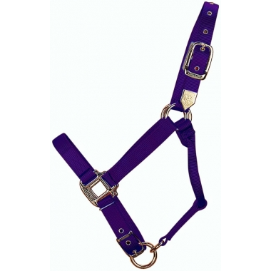 Hamilton Deluxe 1" Adjustable Nylon Horse Halter