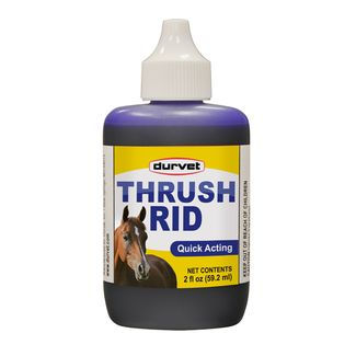 Thrush Rid for Horses