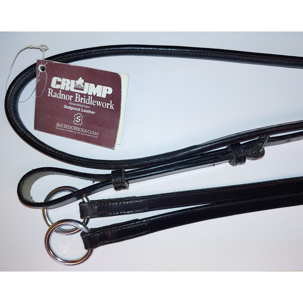 Thumbnail: Crump Running Martingale