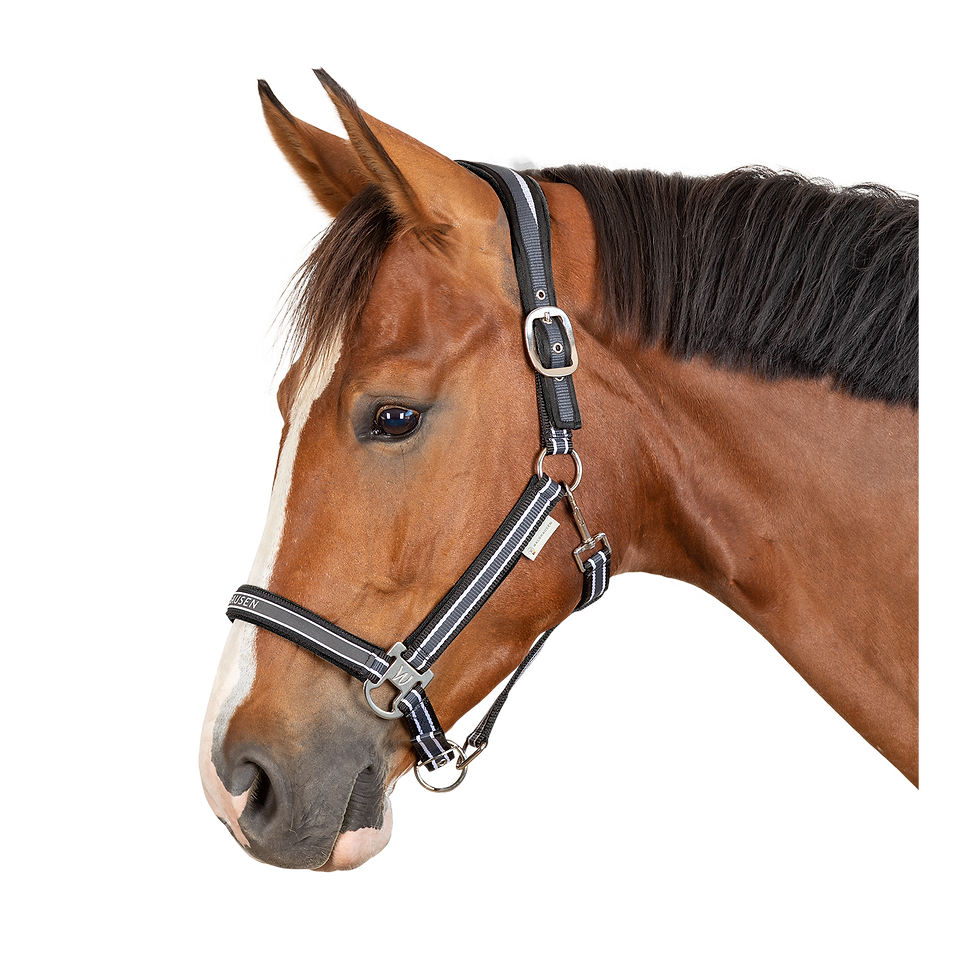 Thumbnail: Athletic Halter