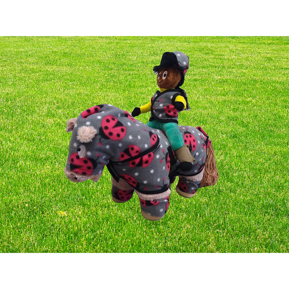 Thumbnail: Crafty Pony Rider Helmet Cover and Vest Set