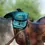 Thumbnail: Trail Gear Pommel Bags