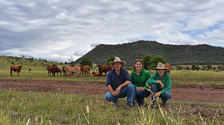 CQ organic grassfed beef business decision and customer trends