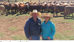 Boosting efficiencies across the board