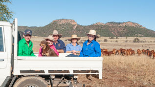 She'll be right - the vexing question of succession planning