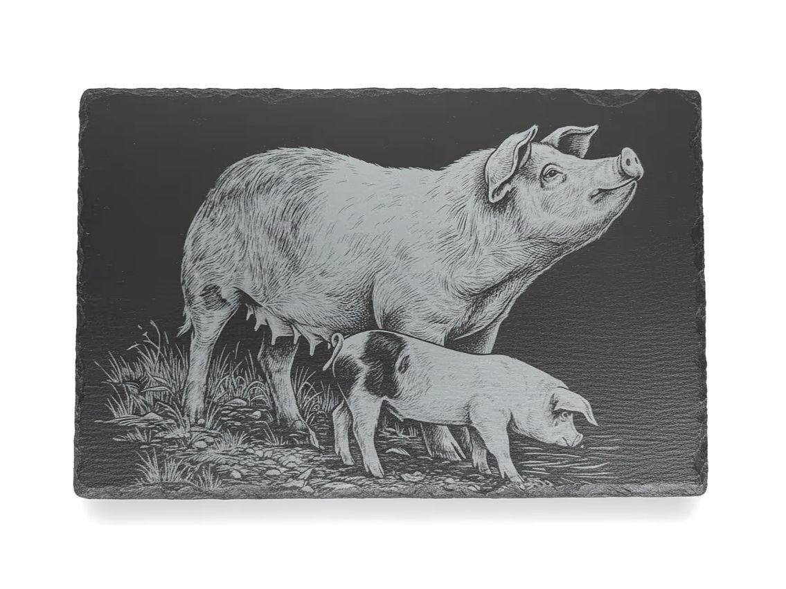 Laser engraved pig slate board — Whimsical & Roo