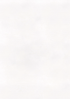 Pastel Paper.png