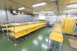 ピッキングエリア