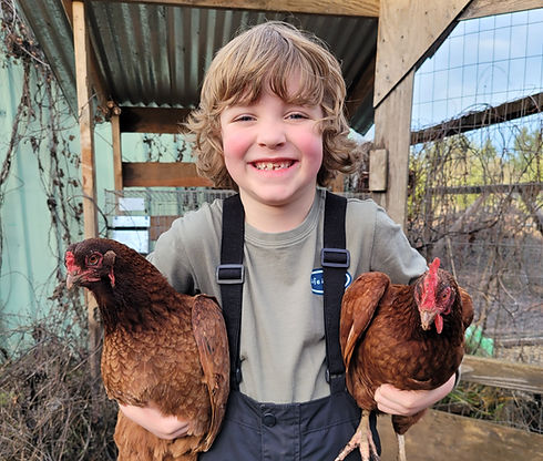 smiling kid with chickens