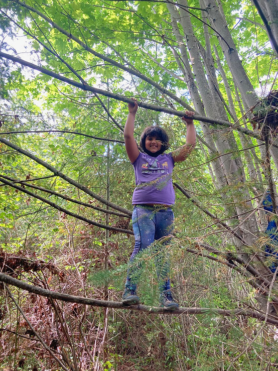 girl climbing tree
