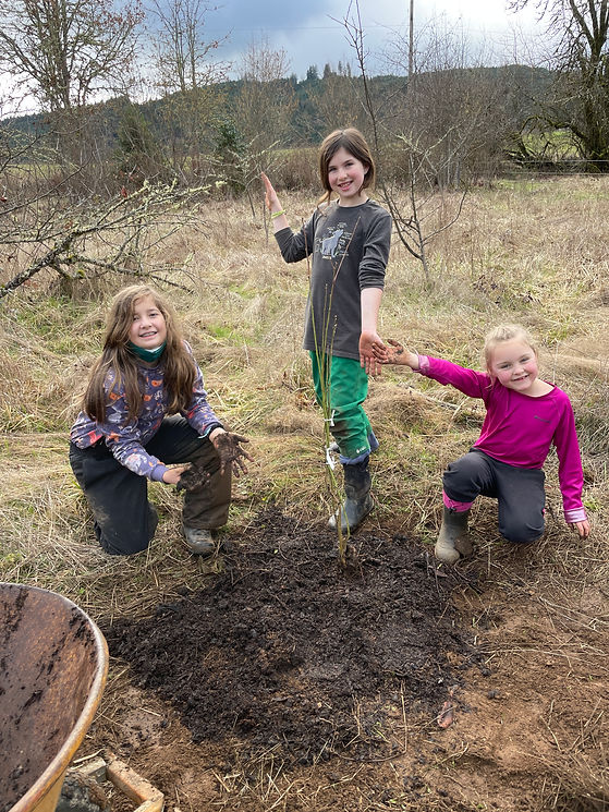 happy girls planting tree