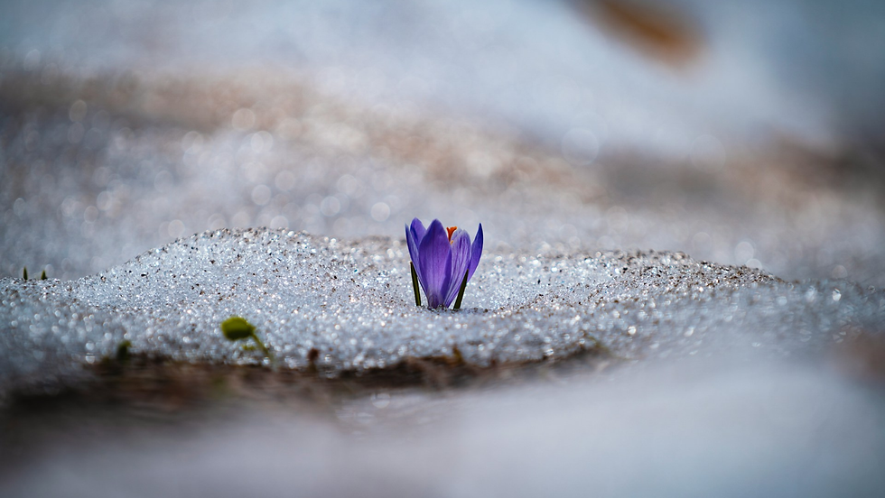 In&dits - 10 ans !.png