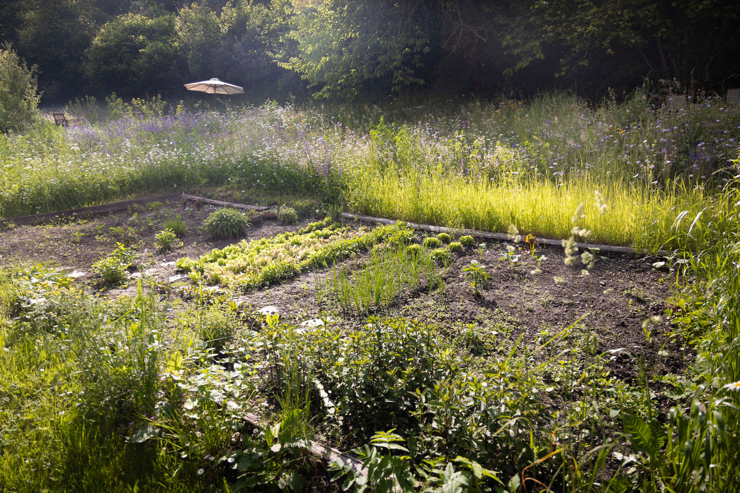 Die Chara Chasa, ein Haus mit zwei Ferienwohnungen in Martina GR im Unterengadin, Schweiz.