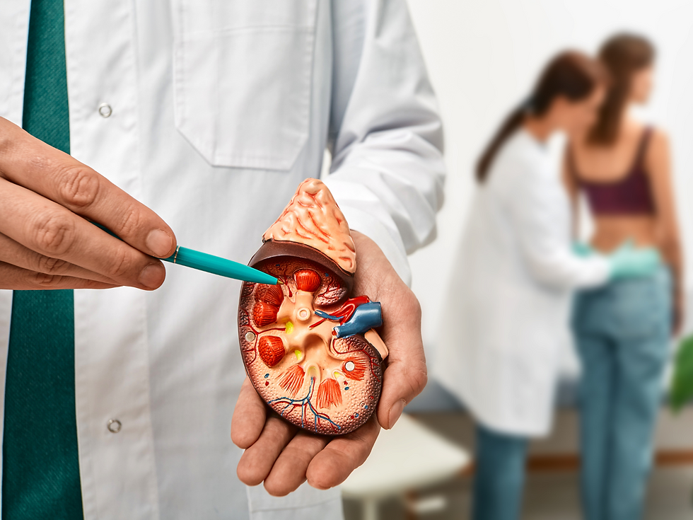 Understanding the 5 Stages of Chronic Kidney Disease 