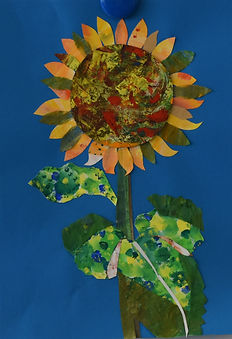 DSC_0014a.jpg