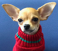 Paco