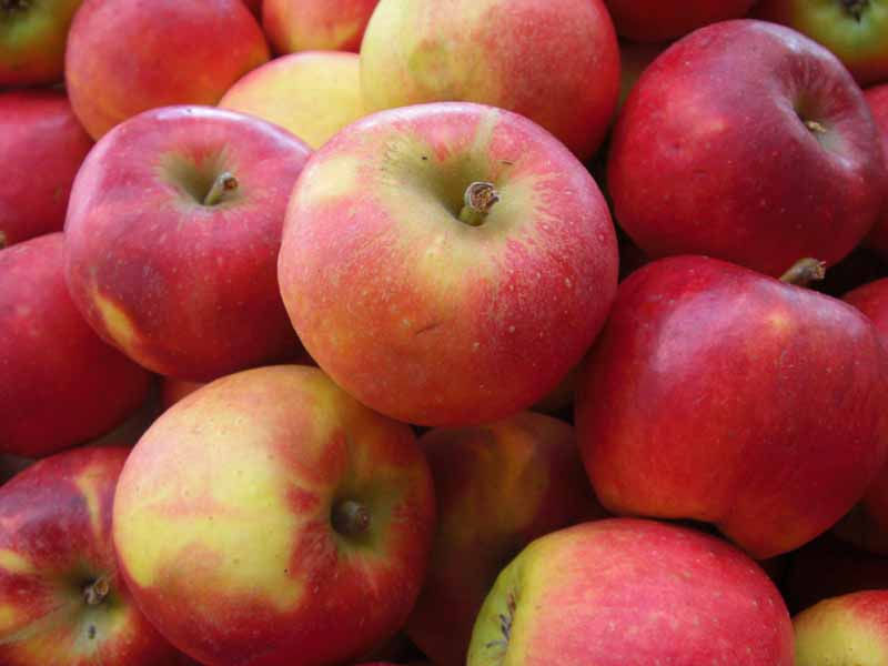 apple