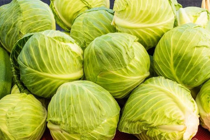 cabbages