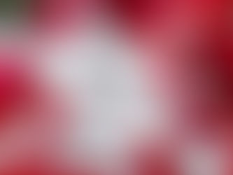 З Днем Закоханих!