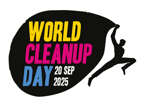 Всесвітній день прибирання в Лиманському ліцеї №4