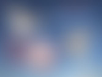 МІЖНАРОДНИЙ ДЕНЬ ПТАХІВ