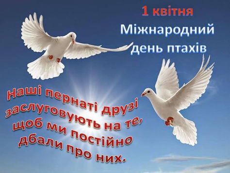 МІЖНАРОДНИЙ ДЕНЬ ПТАХІВ