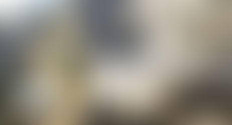 День в історії