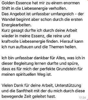 Feedback Golden Essence 2.jpeg