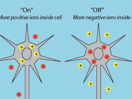 Primal Therapy, Repression, and Quantum Theory.